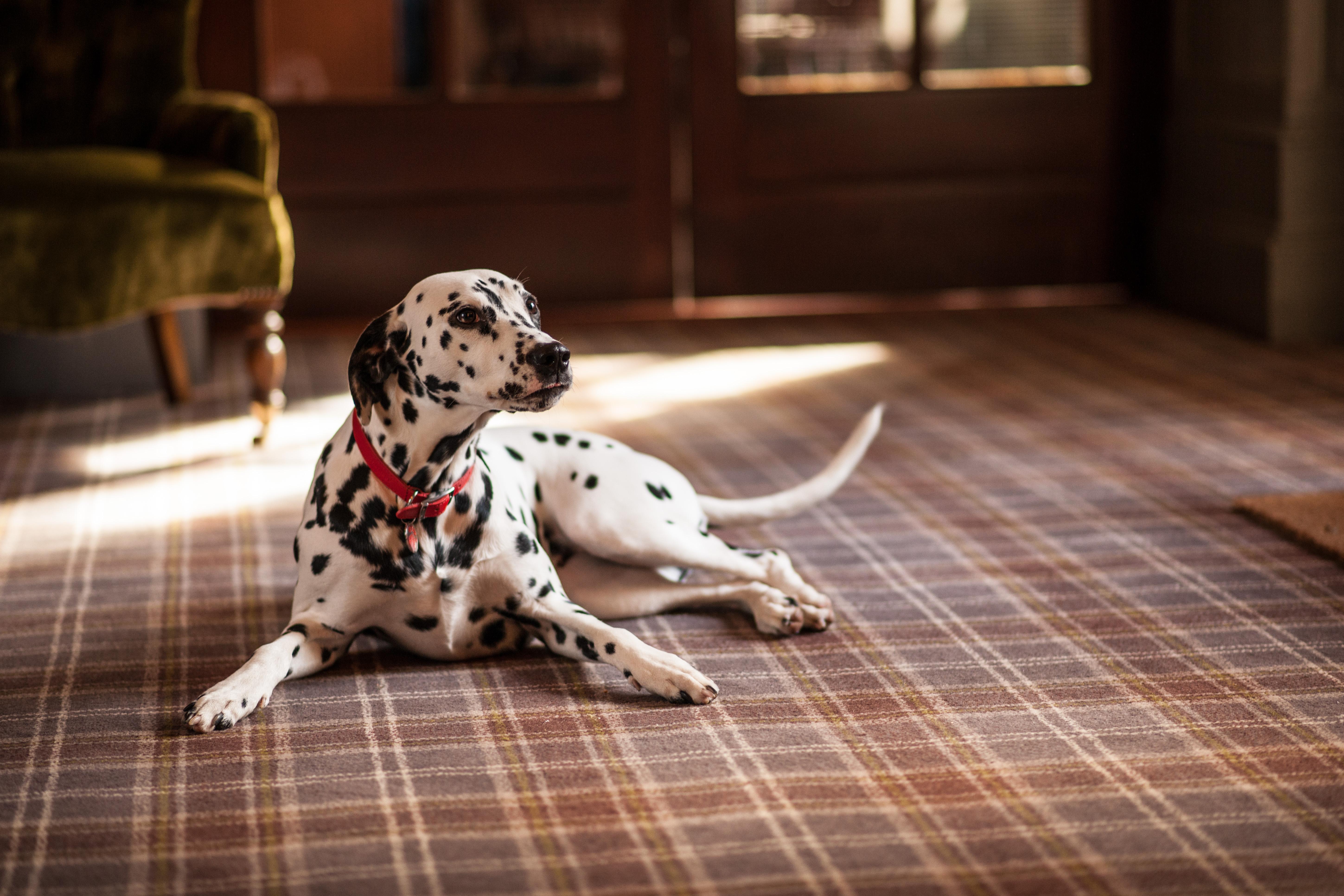 Balmoral Arms Hotel Ballater Ngoại thất bức ảnh